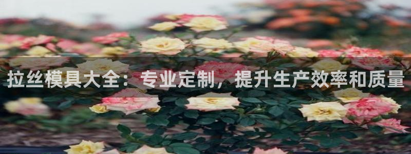 太阳集团高科技发展有限责任公司：拉丝模具大全：专业定制，提升生产效率和质量