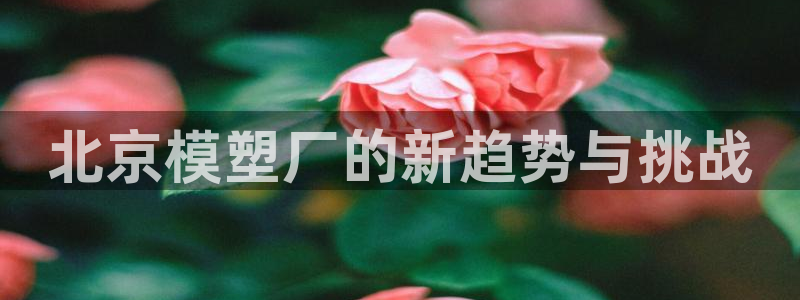 太阳诚集团：北京模塑厂的新趋势与挑战