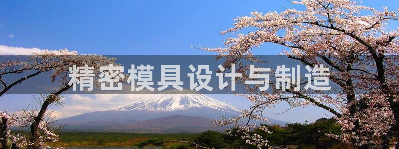 太阳gg平台注册：精密模具设计与制造