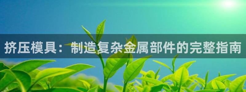 太阳集团网站古天乐：挤压模具：制造复杂金属部件的完整指南