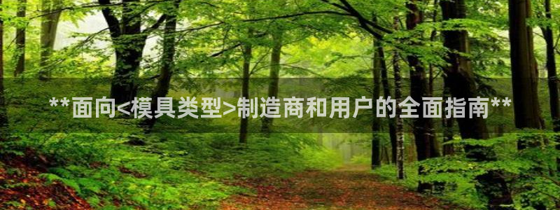 太阳集团城娱138：**面向<模具类型>制造商和用户的全面指南**