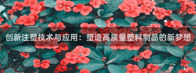 太阳成集团网站5：创新注塑技术与应用：塑造高质量塑料制品的新梦想