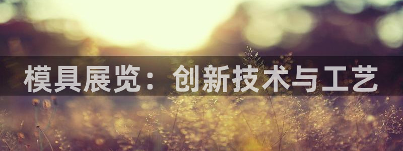 太阳集团app十佳平台怎么样：模具展览：创新技术与工艺