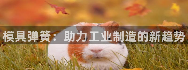 太阳成娱乐app下载：模具弹簧：助力工业制造的新趋势