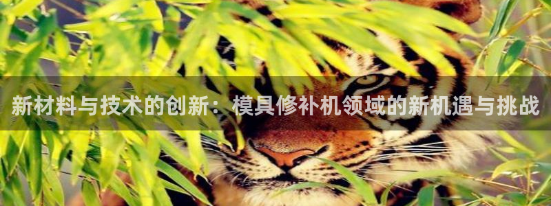 太阳集团在线：新材料与技术的创新：模具修补机领域的新机遇与挑战