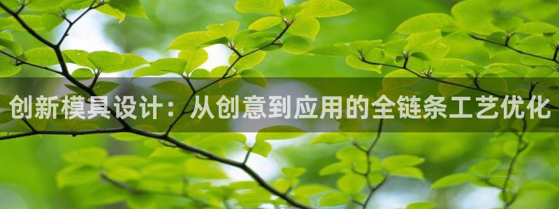 太阳集团网站多少：创新模具设计：从创意到应用的全链条工艺优化