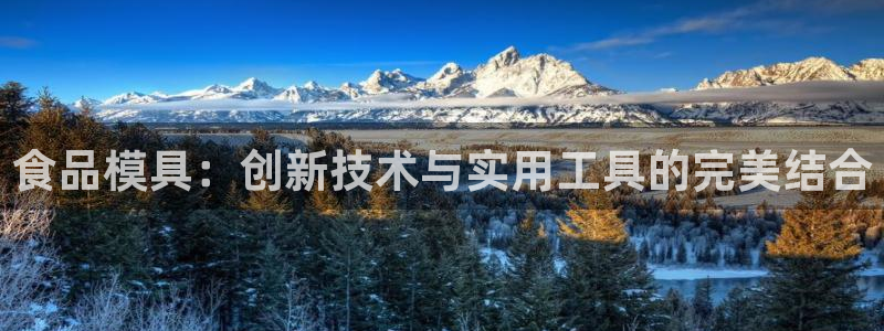 太阳集团注册就送38：食品模具：创新技术与实用工具的完美结合