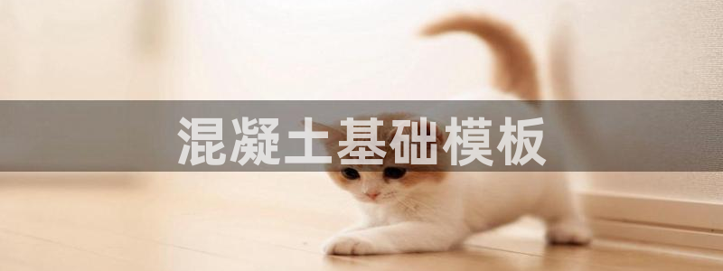 太阳集团城娱6543官网：混凝土基础模板