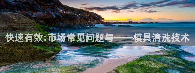 太阳成集团tyc9728：快速有效:市场常见问题与——模具清