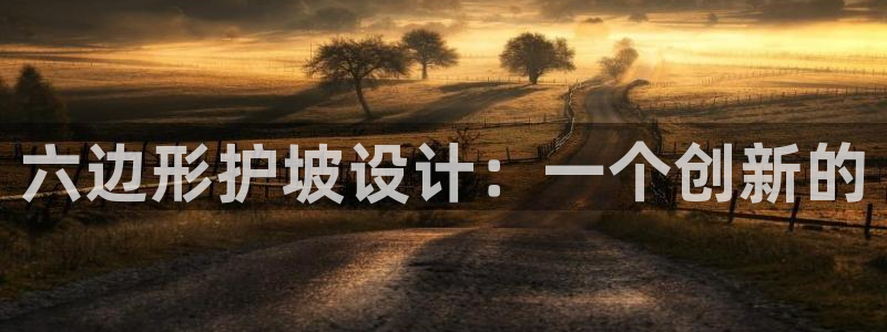 太阳集团电子游戏大全：六边形护坡设计：一个创新的