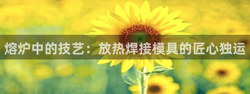 太阳商城贵宾会2017cm：熔炉中的技艺：放热焊接模具的匠心独运