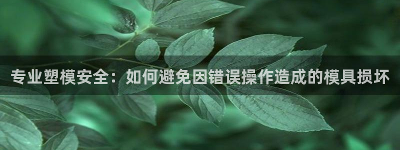 太阳诚集团是什么：专业塑模安全：如何避免因错误操作造成的模具