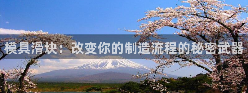 15vip太阳集团登录：模具滑块：改变你的制造流程的秘密武器