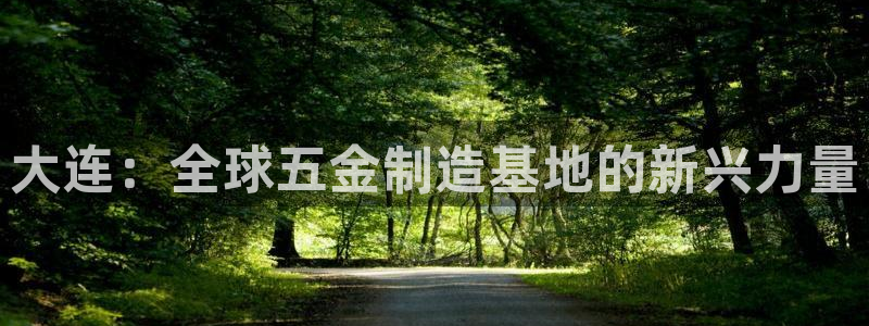 太阳1城集团网址是多少：大连：全球五金制造基地的新兴力量