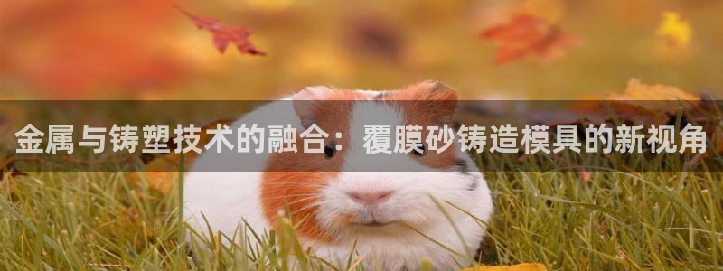 太阳地产集团：金属与铸塑技术的融合：覆膜砂铸造模具的新视角
