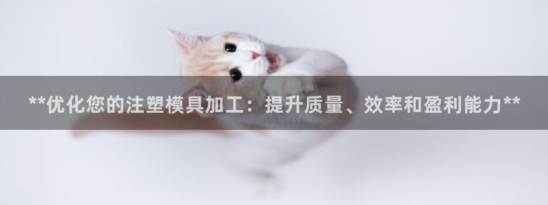 太阳集团董事长的儿子照片：**优化您的注塑模具加工：提升质量